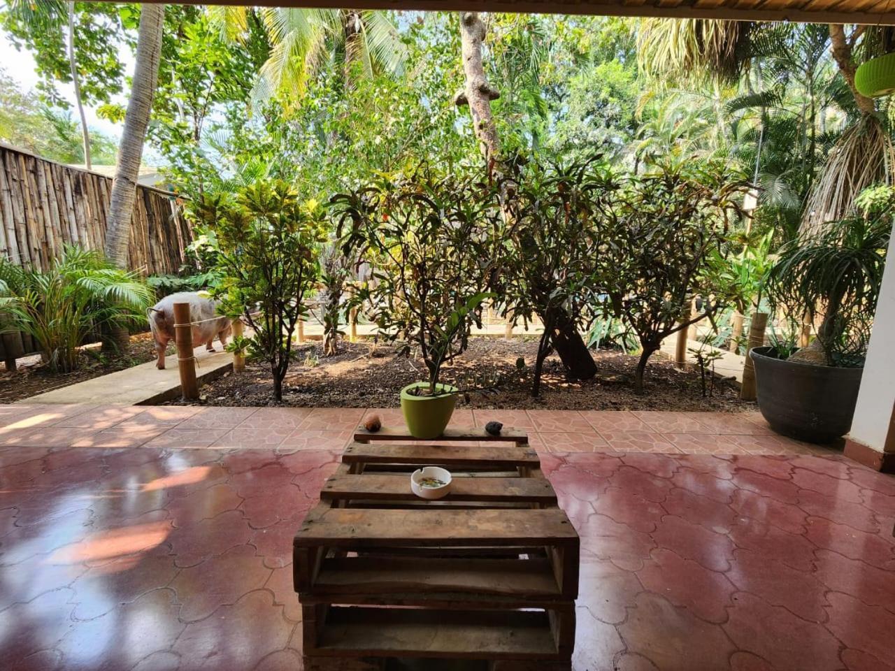 פוטררו Villas Pura Vibra מראה חיצוני תמונה